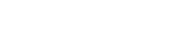 dswiss